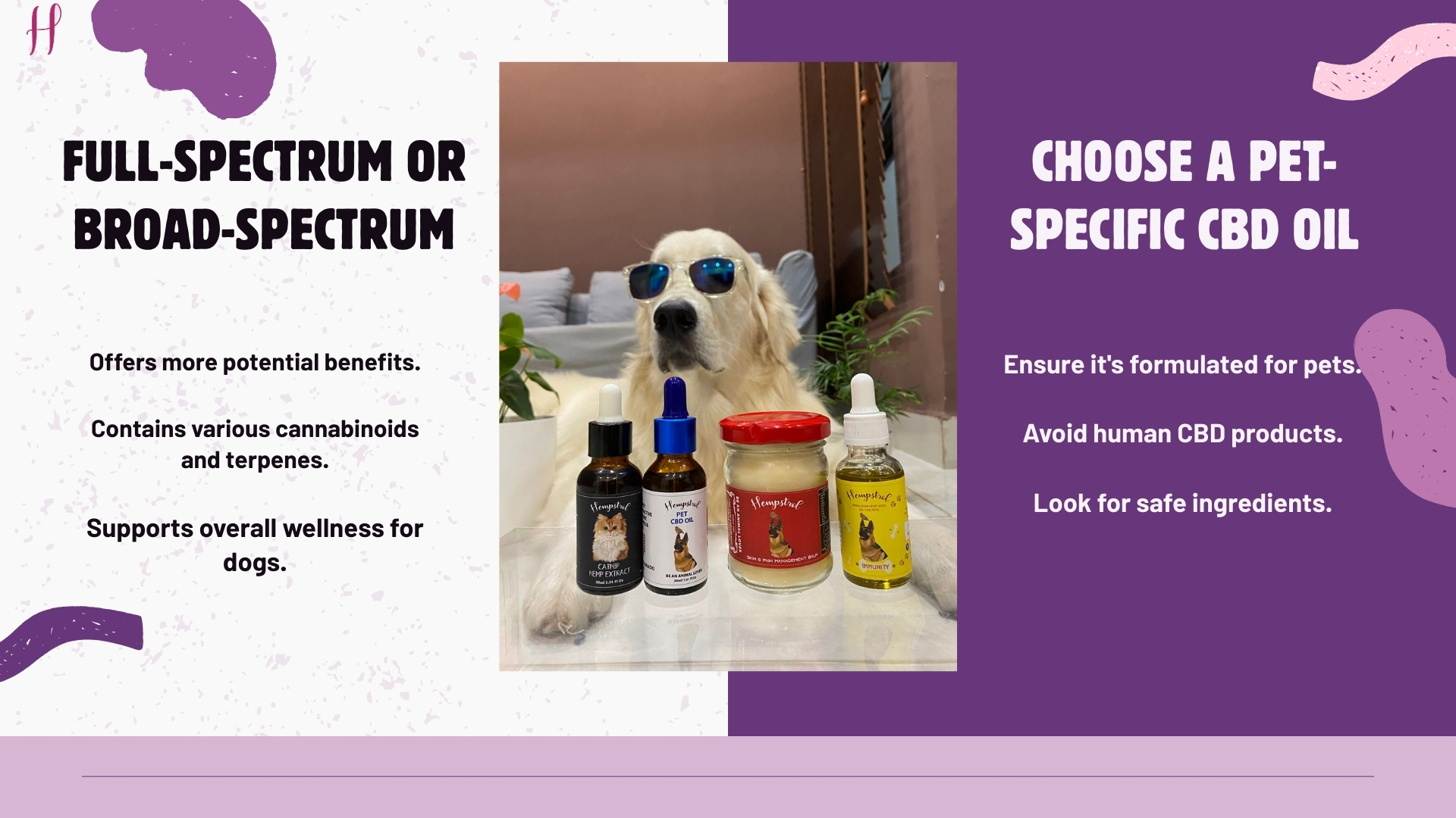 buy cbd oil for dogs